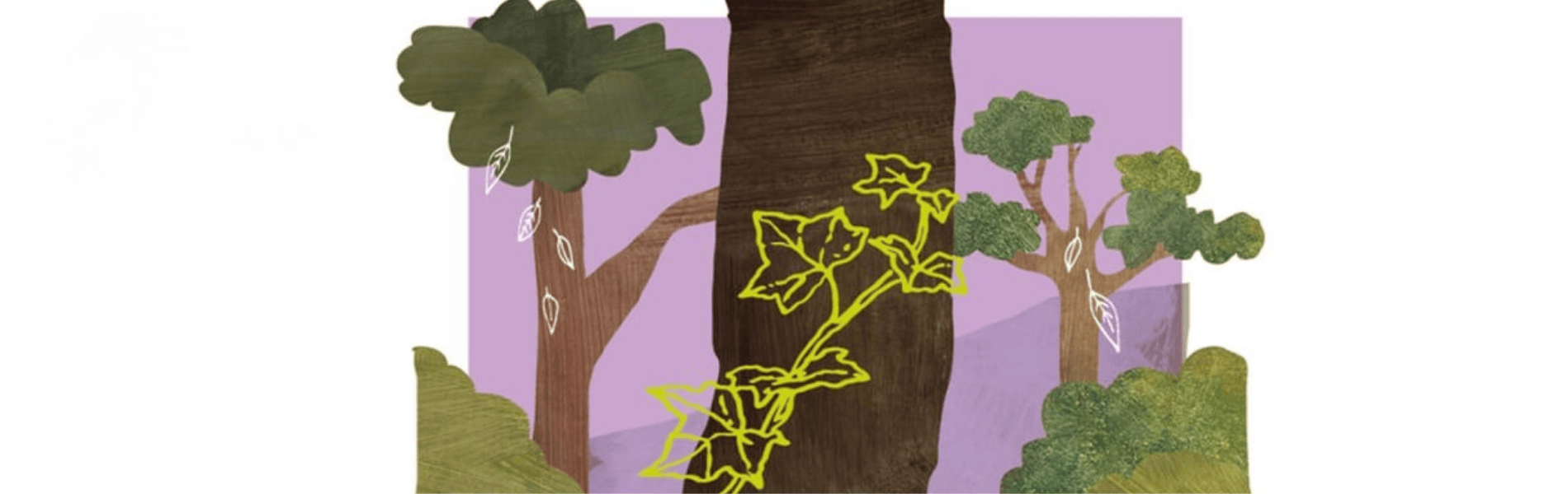 Modernisierung des Personalmanagements im Bistum St. Gallen