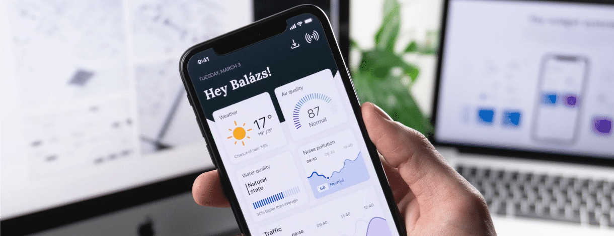 Native or web app: the best choice for your idea