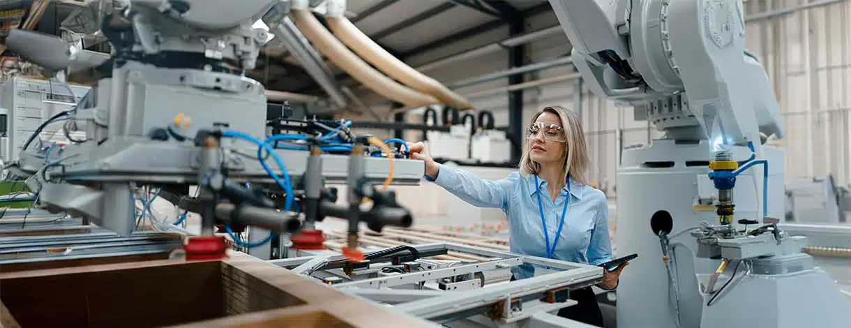 Delphi-Partner für Support und Migration